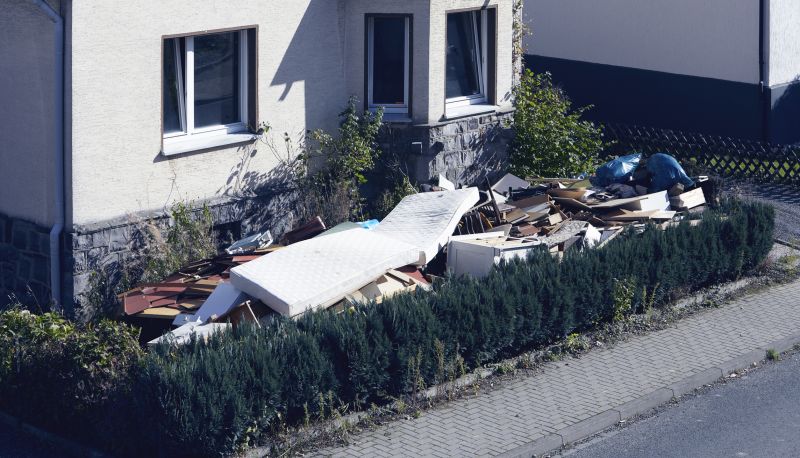 Debris Removal Service in Roseville, CA