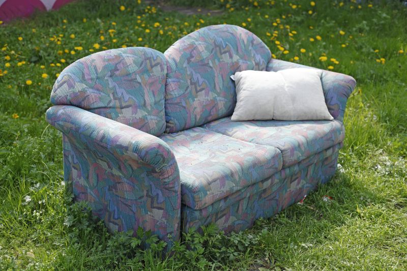 Sofa Bed Removal in Madison, WI